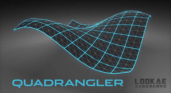 C4D插件-多边形布线优化工具 C4DPlugin Quadrangler v1.2插图