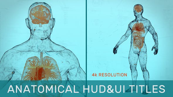 AE模板-三维人体解剖生物医疗文字标题介绍动画 Anatomical HUD&UI Titles插图